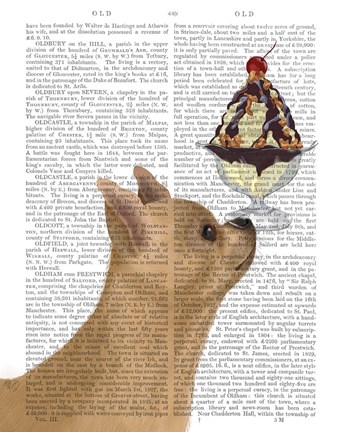 Framed Chihuahua, Fawn, Ice Cream Print