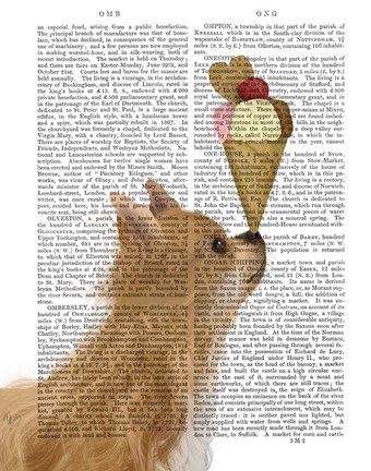 Framed Chihuahua, Long Haired, Ice Cream Print