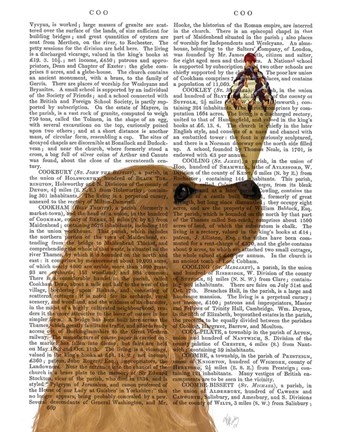 Framed Cocker Spaniel, Golden, Ice Cream Print