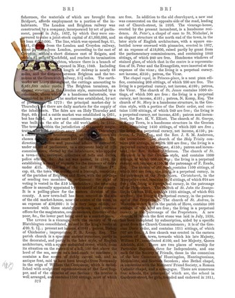 Framed Dachshund, Gold, Ice Cream Print