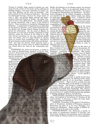 Framed German Shorthaired Pointer Ice Cream Print