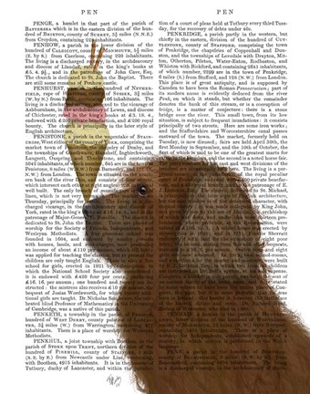 Framed Labradoodle, Brown, Ice Cream Print