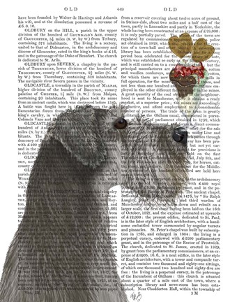 Framed Schnauzer, Grey, Ice Cream Print