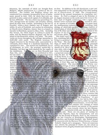 Framed Westie Ice Cream Print