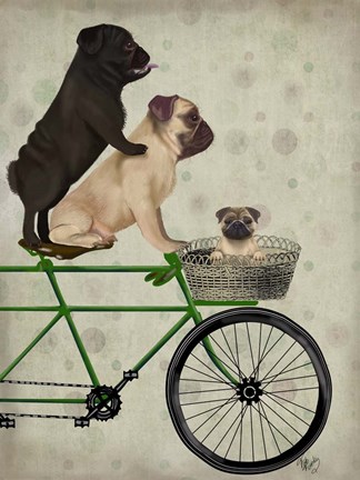 Framed Pugs on Bicycle Print