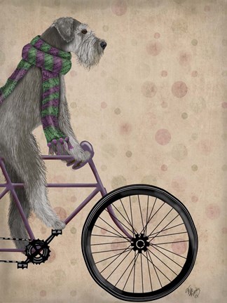 Framed Schnauzer on Bicycle, Grey Print