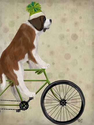 Framed St Bernard on Bicycle Print