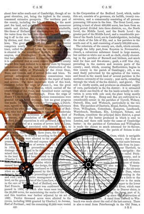 Framed French Bulldog on Bicycle Print