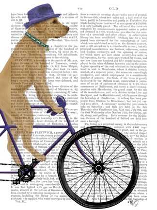 Framed Yellow Labrador on Bicycle Print