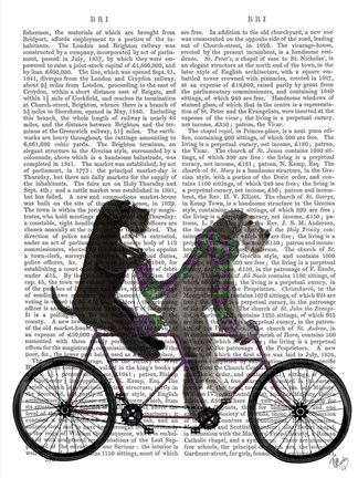 Framed Schnauzer Tandem Print