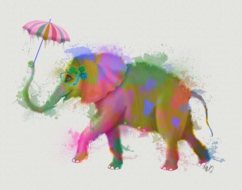 Framed Rainbow Splash Elephant Print