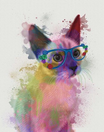 Framed Rainbow Splash Cat 2 Print