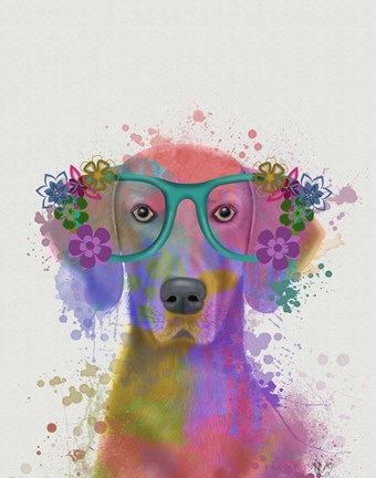 Framed Rainbow Splash Weimaraner, Portrait Print