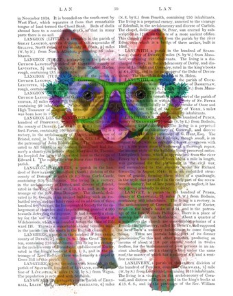Framed Rainbow Splash French Bulldog, Full Print