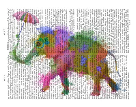 Framed Rainbow Splash Elephant Print