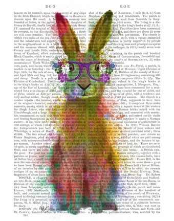 Framed Rainbow Splash Rabbit 1 Print
