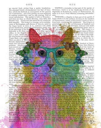Framed Rainbow Splash Cat 3, Portrait Print
