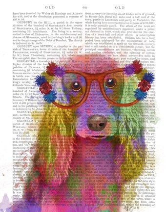 Framed Rainbow Splash Cocker Spaniel, Portrait Print
