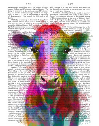 Framed Rainbow Splash Cow Print