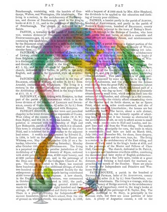 Framed Rainbow Splash Flamingo 3 Print