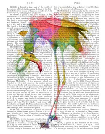 Framed Rainbow Splash Flamingo 4 Print
