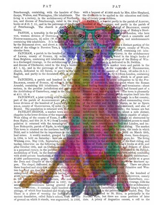 Framed Rainbow Splash Weimaraner, Full Print