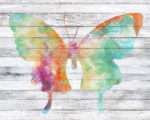 Framed Wings on Wood II Print