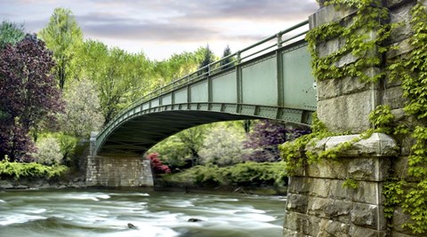 Framed Farm &amp; Country III Print