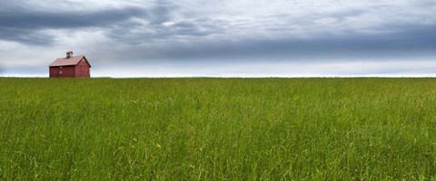 Framed Farm &amp; Country VI Print