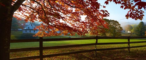 Framed Farm &amp; Country IX Print