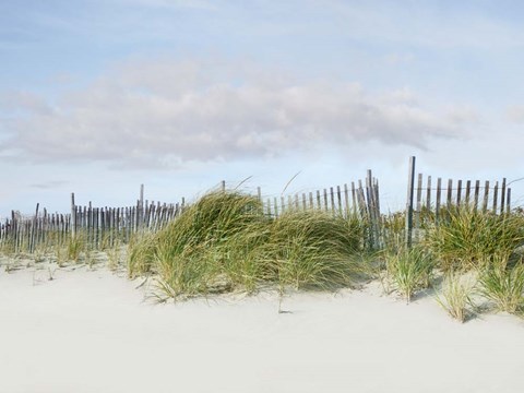 Framed Beachscape IV Print