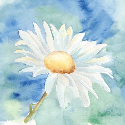 Framed Daisy Sunshine II Print