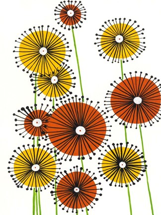 Framed Flower Wheels I Print