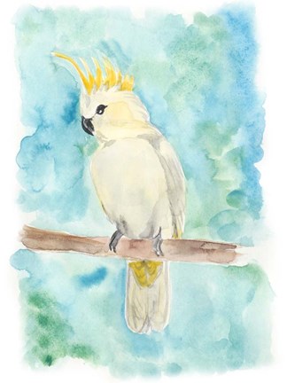Framed Sweet Tropical Bird II Print