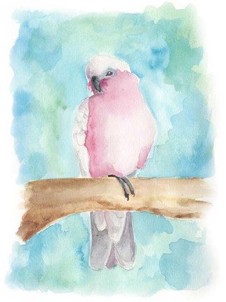 Framed Sweet Tropical Bird III Print