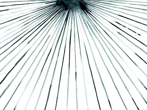 Framed Strobe II Print