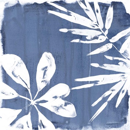 Framed Tropical Indigo Impressions III Print