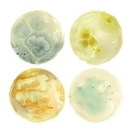 Framed Planetary III Print