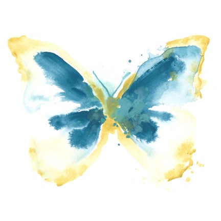 Framed Butterfly Traces III Print