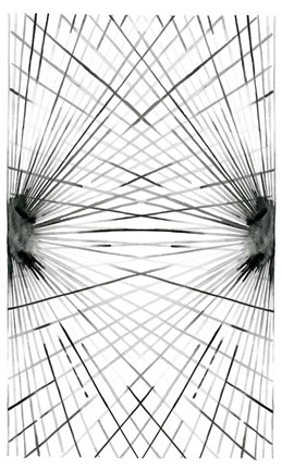 Framed Rays IV Print