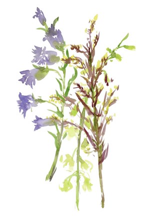 Framed Summertime Daydream III Print