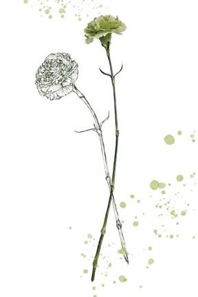 Framed Botany Flower III Print