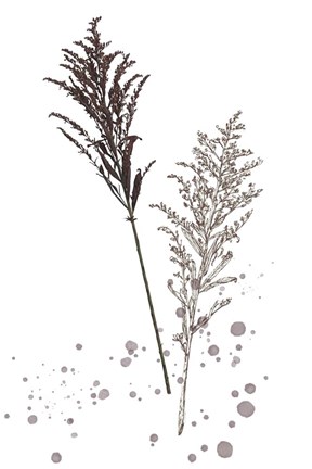 Framed Botany Flower VI Print