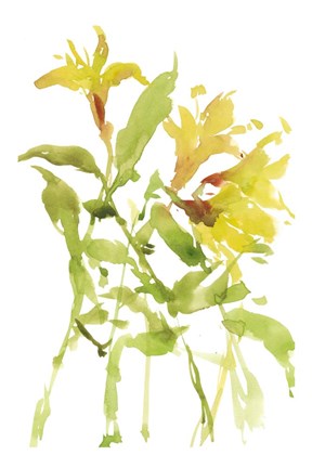 Framed Watercolor Lilies I Print