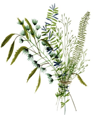 Framed Green Bouquet I Print