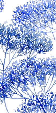 Framed Little Sapling I Print