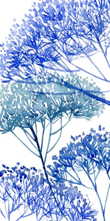 Framed Little Sapling II Print