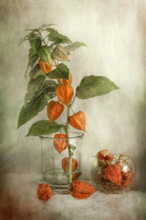 Framed Lanterns Print