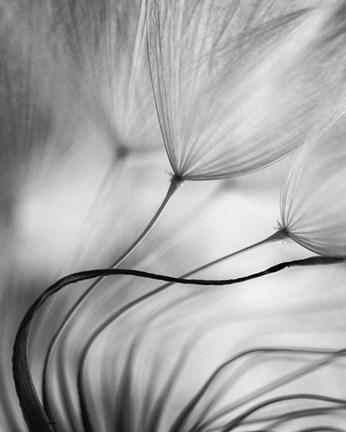 Framed Lean On Me Print