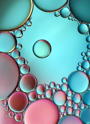 Framed Surrounded Or Protected? Print